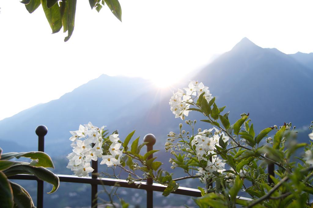 Hotel Alpenrose Schenna Buitenkant foto